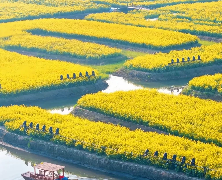 泰州旅游 1