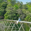 黄山旅游 缩略图 13