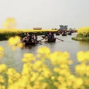 泰州旅游 缩略图 10
