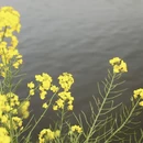 泰州旅游 缩略图 14
