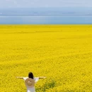 泰州旅游 缩略图 4