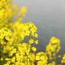 泰州旅游 缩略图 15
