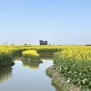 泰州旅游 缩略图 2