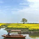 泰州旅游 缩略图 4