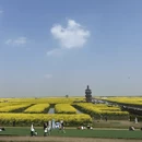 扬州旅游 缩略图 2
