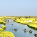 泰州旅游 缩略图 6