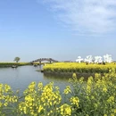 泰州旅游 缩略图 5