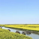 泰州旅游 缩略图 7
