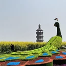 扬州旅游 缩略图 5