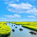 泰州旅游 缩略图 2