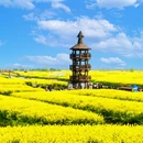 泰州旅游 缩略图 3