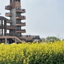 扬州旅游 缩略图 6