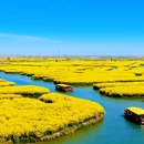 泰州旅游 缩略图 5