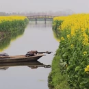 泰州旅游 缩略图 2