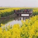 泰州旅游 缩略图 4