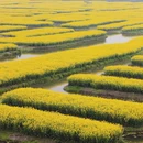 泰州旅游 缩略图 1