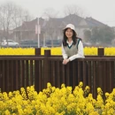 泰州旅游 缩略图 7