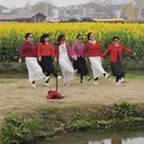 泰州旅游 缩略图 9