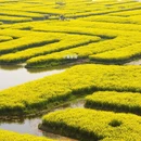 扬州旅游 缩略图 4