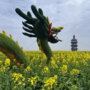 扬州旅游 缩略图 4