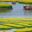扬州旅游 缩略图 5
