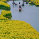 扬州旅游 缩略图 1