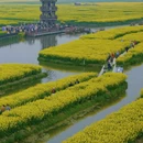 扬州旅游 缩略图 6
