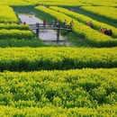 扬州旅游 缩略图 9