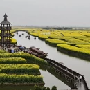 泰州旅游 缩略图 1