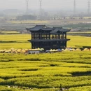 泰州旅游 缩略图 7