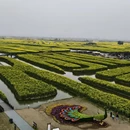 泰州旅游 缩略图 6