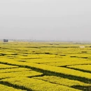 泰州旅游 缩略图 5