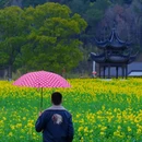 扬州旅游 缩略图 3