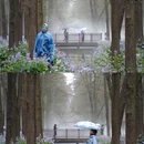 黄山旅游 缩略图 6