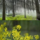 黄山旅游 缩略图 1
