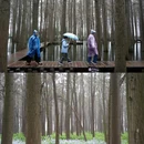黄山旅游 缩略图 2