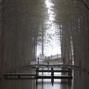 黄山旅游 缩略图 8