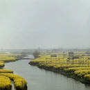 黄山旅游 缩略图 15