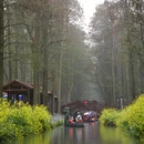 黄山旅游 缩略图 11