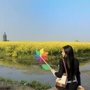 扬州旅游 缩略图 3