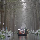 黄山旅游 缩略图 12