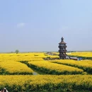 徐州旅游 缩略图 6