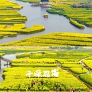 泰州旅游 缩略图 4