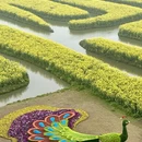 泰州旅游 缩略图 5