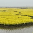 泰州旅游 缩略图 8