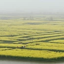 泰州旅游 缩略图 2