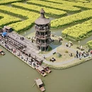 泰州旅游 缩略图 3