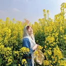 徐州旅游 缩略图 8