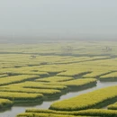 泰州旅游 缩略图 1