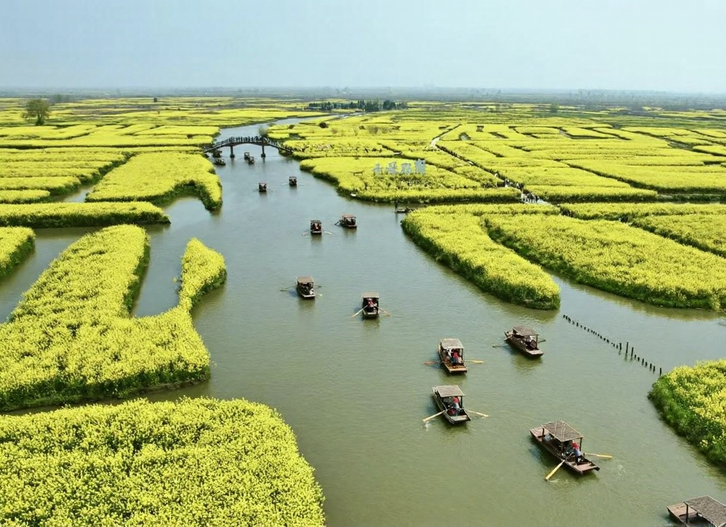泰州旅游